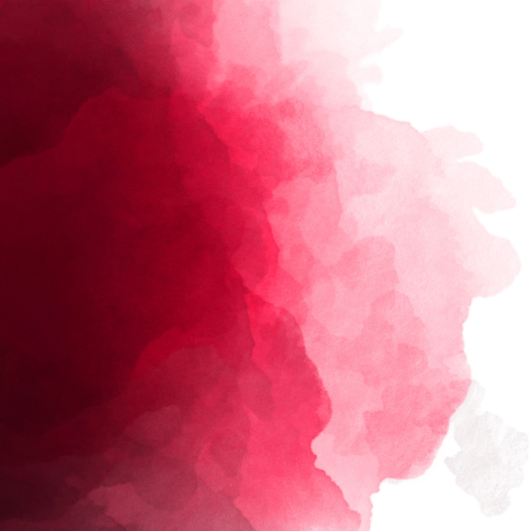 Disposable Coaster Burgundy